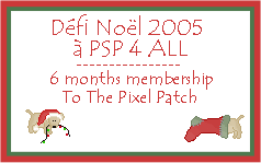 The Pixel Patch